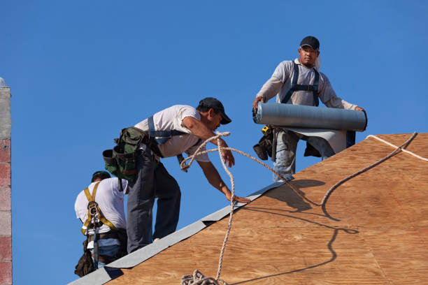 Best Commercial Roofing Services  in Clinton, IL